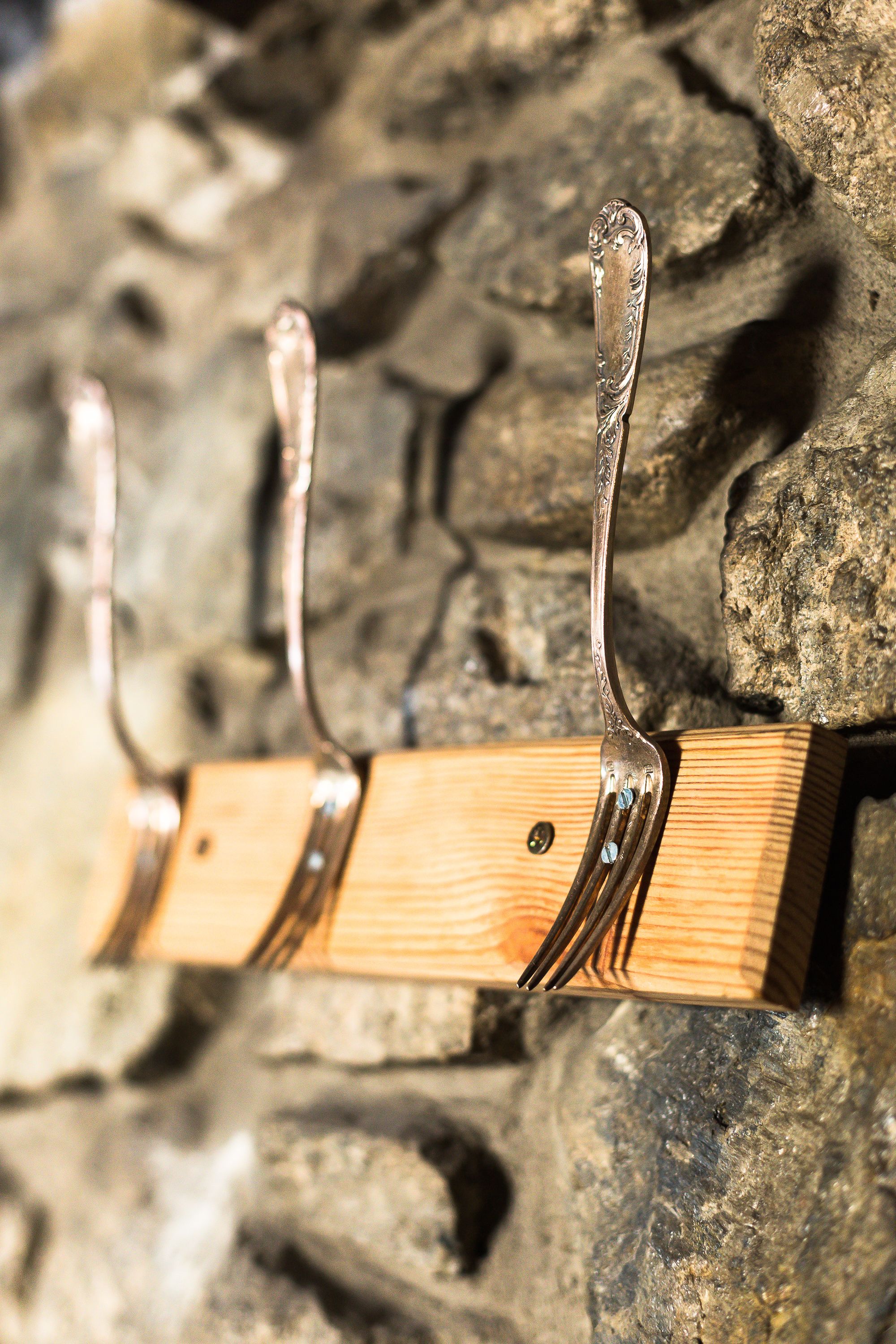 Foto - Hostal Cisco de Sans