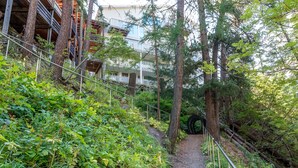 Un sentier bordé d’arbres qui mène à un bâtiment doté de balcons.
