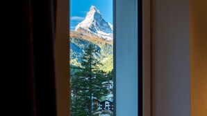 Une vue sur les montagnes, visible à travers une fenêtre, avec un sommet bien visible et la forêt environnante.