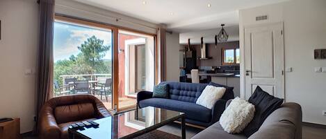 TV, DVD player, books, video library