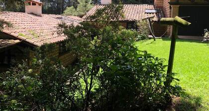 Hermosa casa en medio del gran jardín. 3 dormitorios 2 baños en el bosque