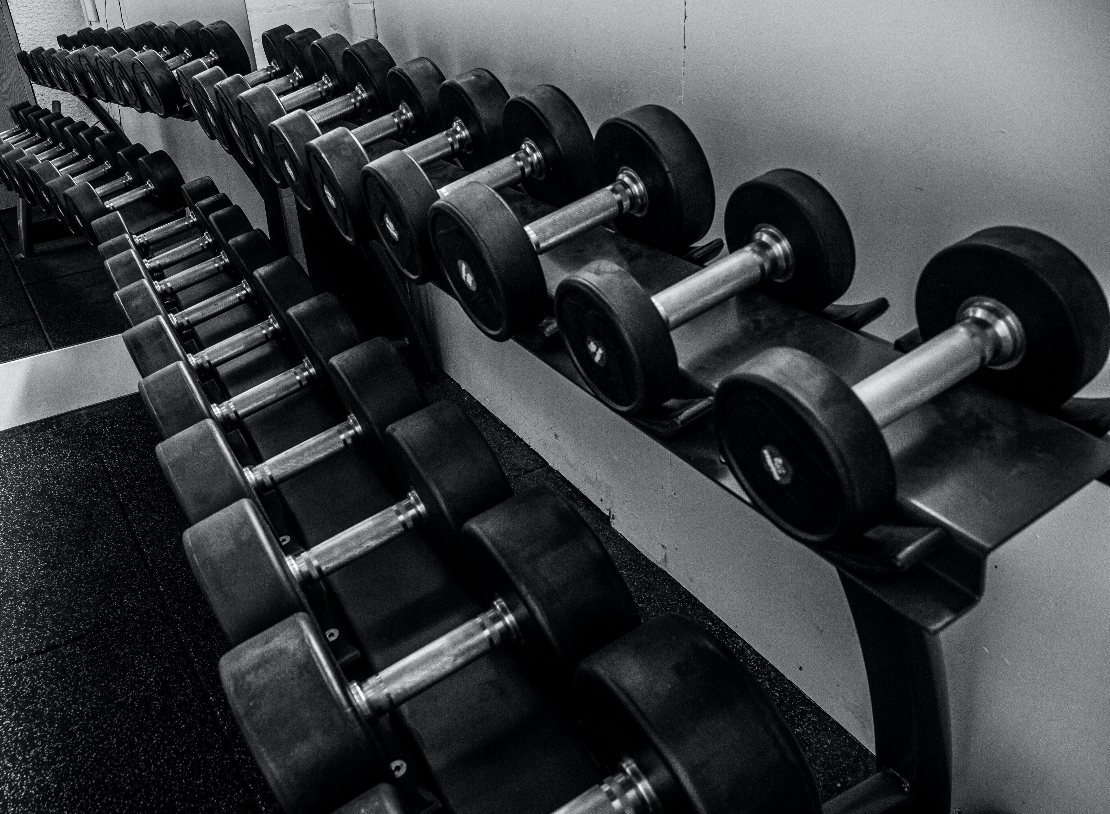 A row of black dumbbells on a rack in a gym.