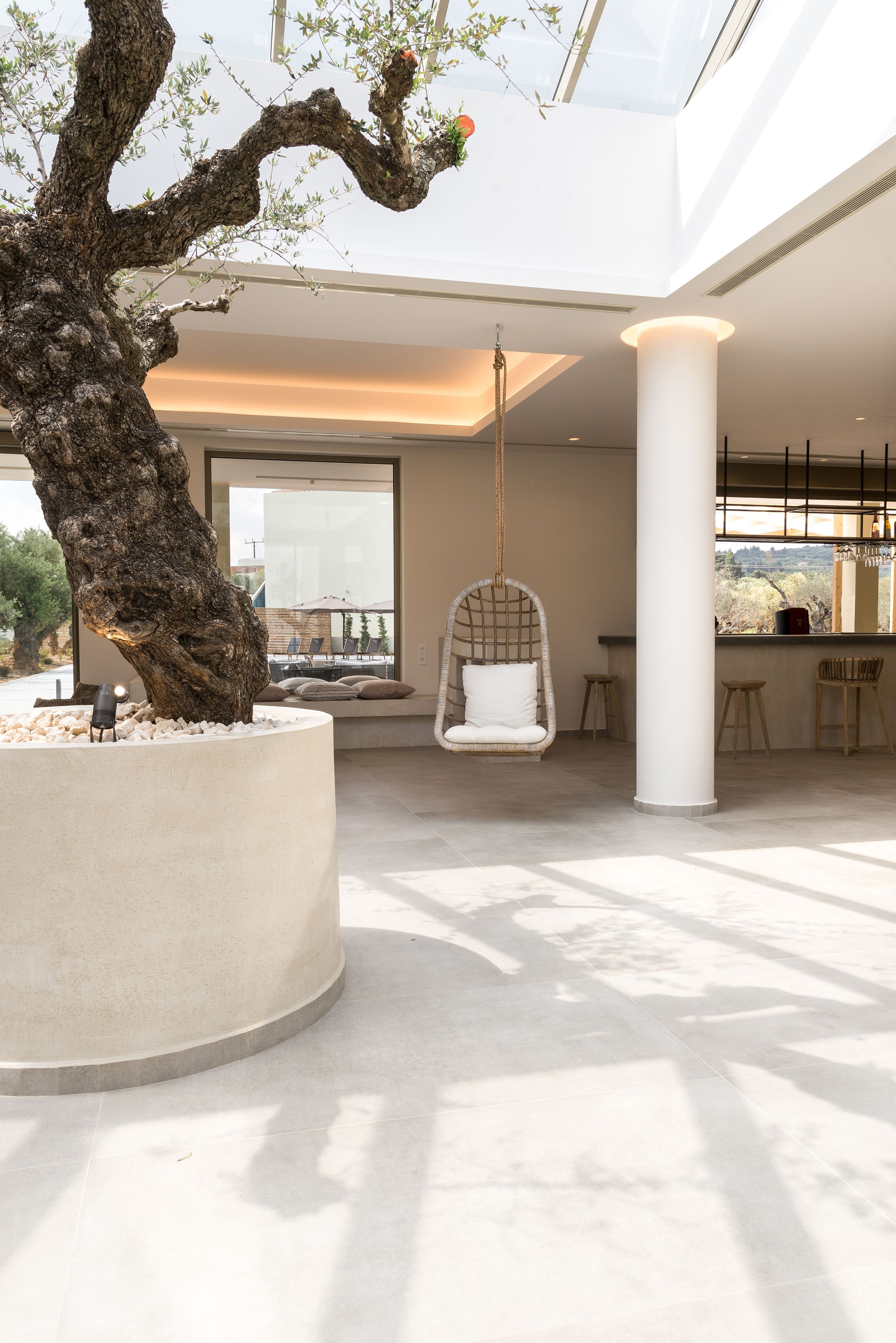 A spacious indoor area with a large tree, a hanging chair, and a view of the outdoors through large windows.