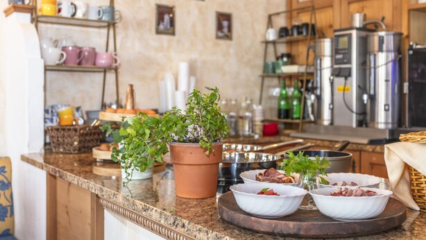 A kitchen with a marble countertop, various kitchen appliances, and a potted plant. - Hotel Wenger Alpenhof (Werfenweng)