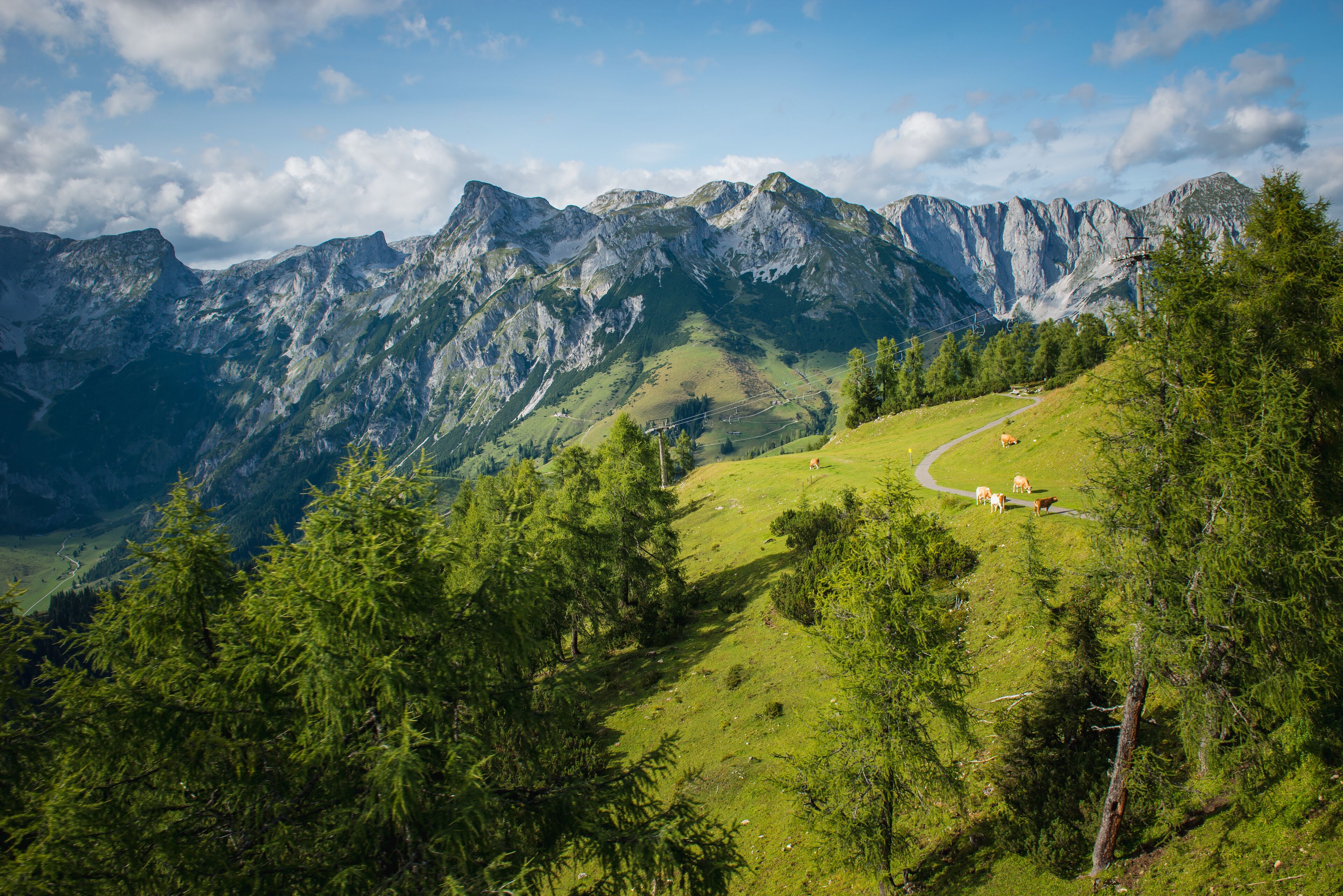 A mountainous landscape with a winding path, dense forests, and grazing animals.