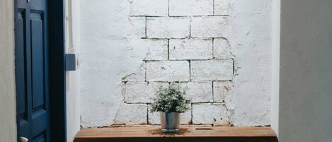 A narrow hallway with a white brick wall, a wooden shelf with a potted plant, and a blue door.