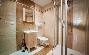 A modern bathroom with a glass shower enclosure, a sink with a mirror, and a toilet. - EverySky Nadrzeczna2 (Karpacz)