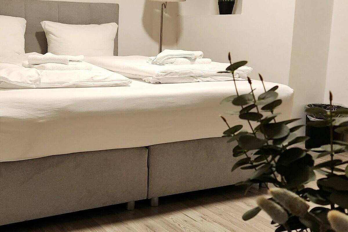 Una cama bien hecha con sábanas blancas, una lámpara de noche y una planta en maceta en la pared.