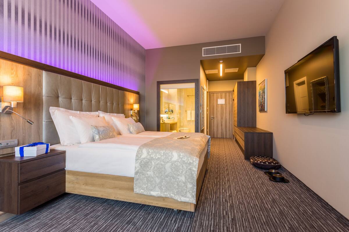 Une chambre d’hôtel moderne dotée d’un grand lit, d’une table de chevet en bois, d’un bureau, d’un téléviseur à écran plat fixé au mur et d’un panier pour animaux de compagnie avec des gamelles.