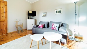 Flat-screen TV - EverySky Norwida Jelenia Gora (Jelenia Gora)
