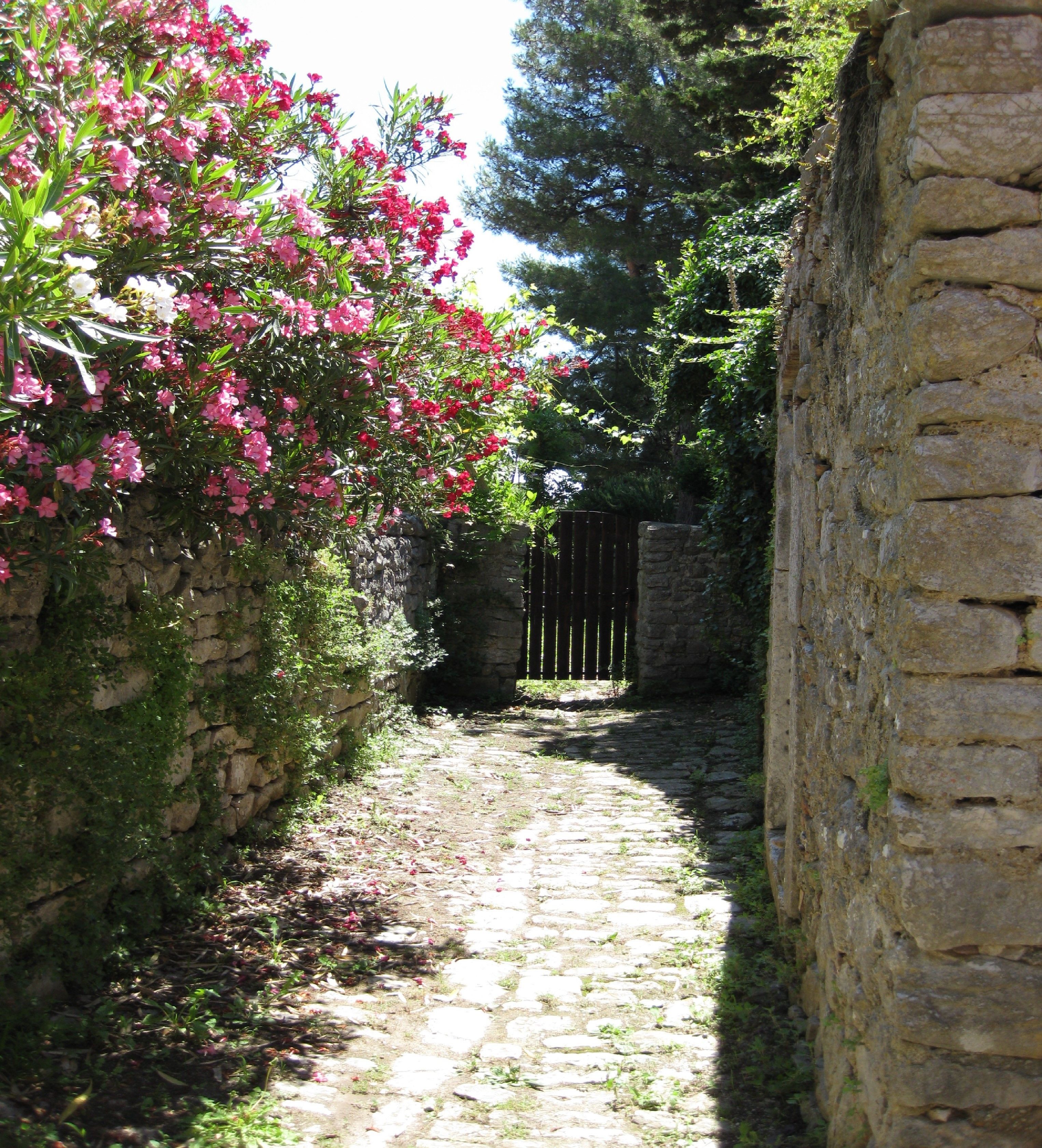 Ingresso della struttura