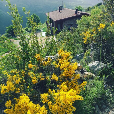 Vista aérea