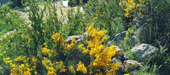 Cal Baridà