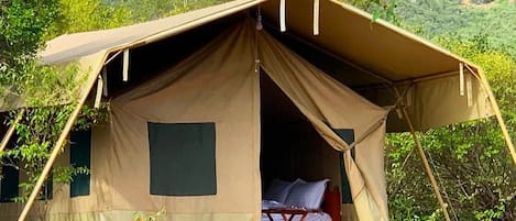 Cortinas blackout y ropa de cama