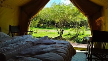 Tente Deluxe, 1 grand lit