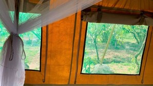 Room - Mara Olodare (Maasai Mara)
