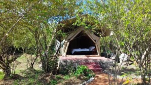 Exterior - Mara Olodare (Maasai Mara)