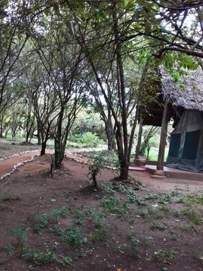 Tienda Confort, 2 camas individuales | Cortinas opacas y ropa de cama