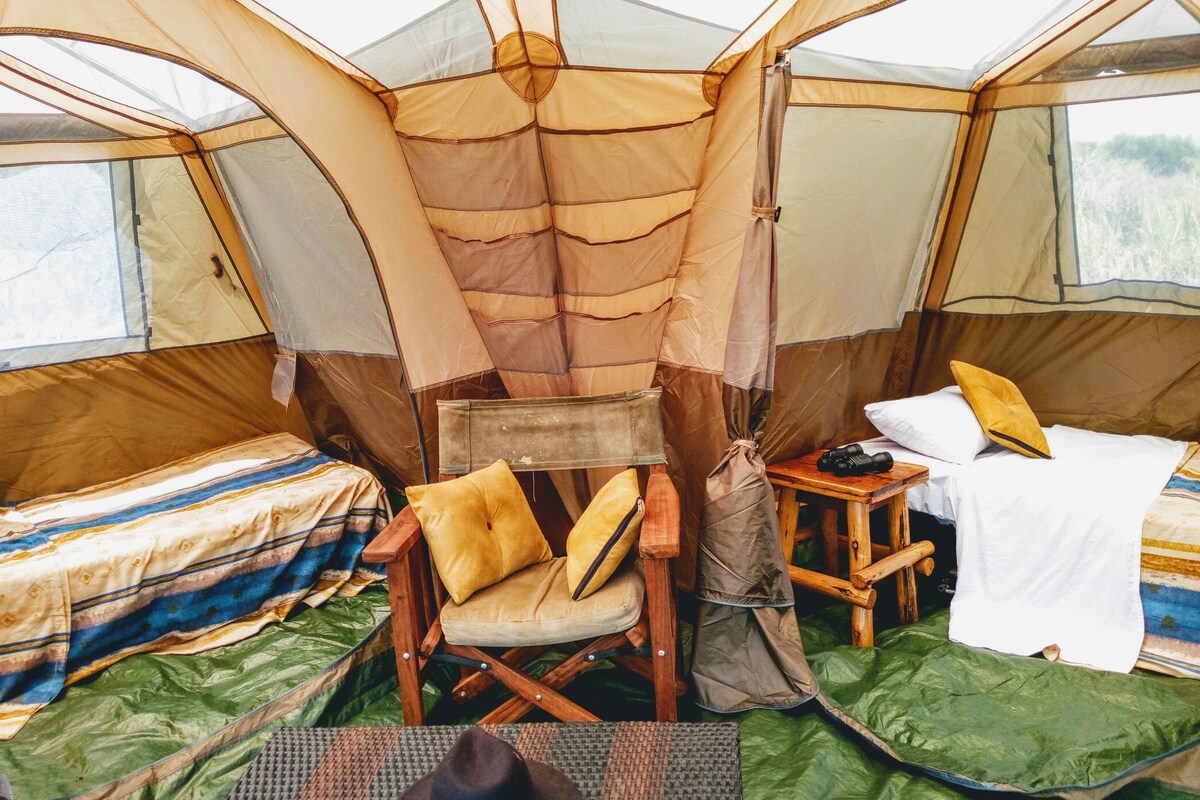 Lều (No Tent or Bed Provided) | Giường gấp/giường phụ (phụ phí) 