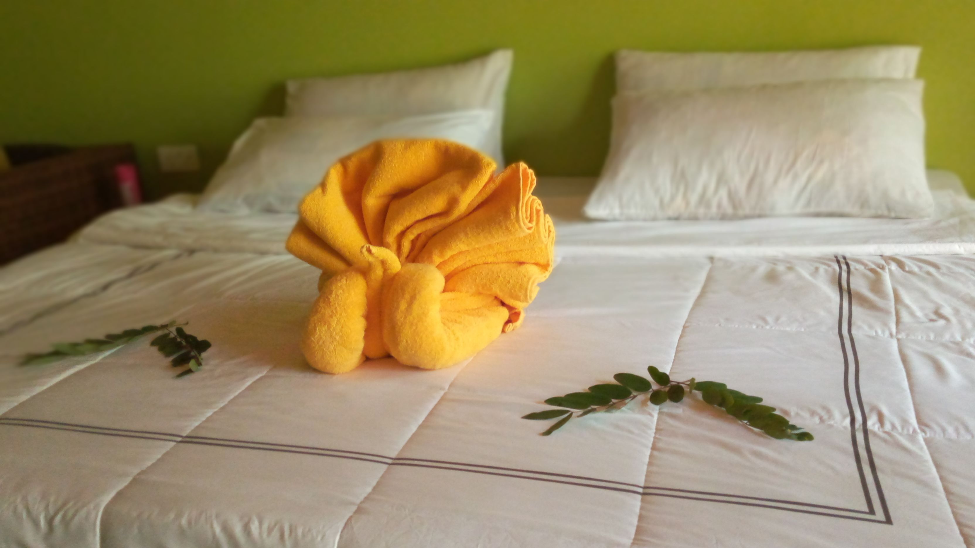 Phòng đôi | Giường gấp/giường phụ (phụ phí) 