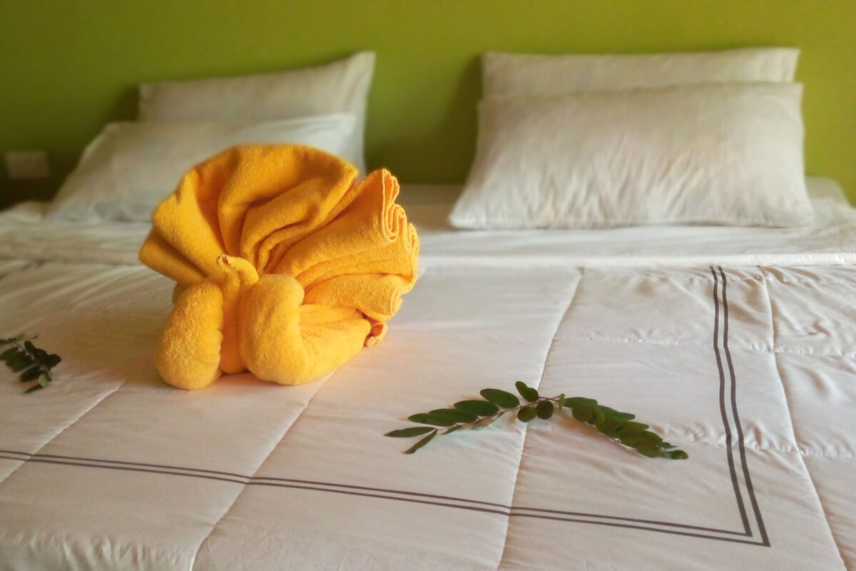 Phòng đôi | Giường gấp/giường phụ (phụ phí) 