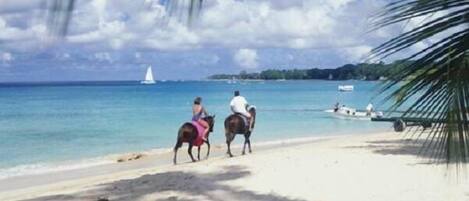 Ligstoelen aan het strand, strandlakens