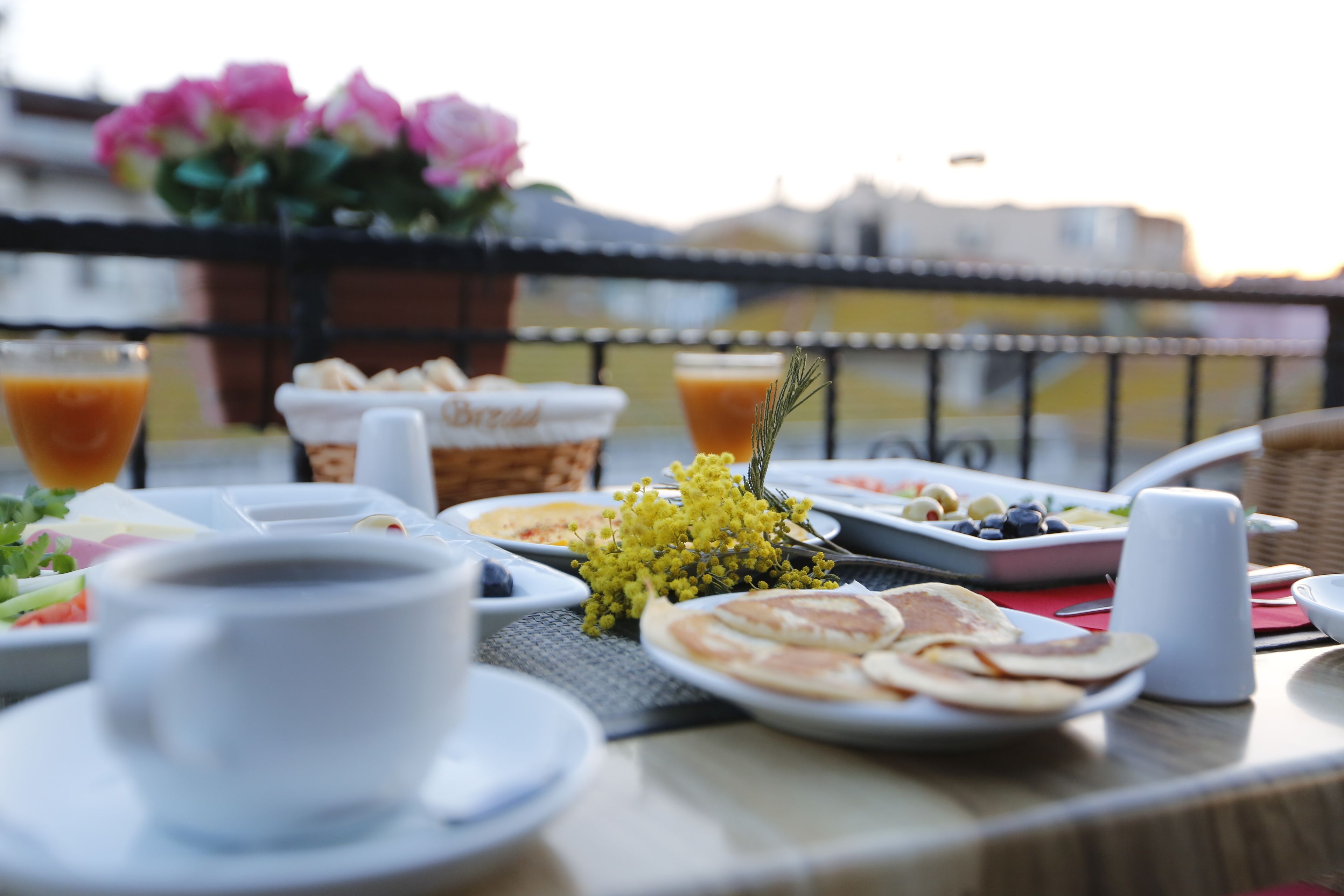 free daily continental breakfast