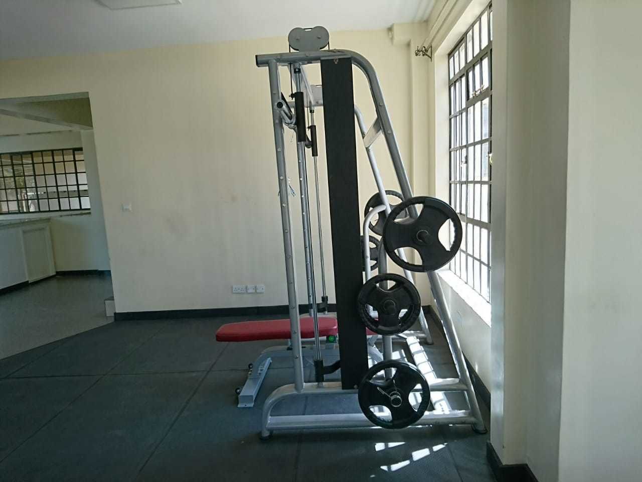 A gym with a squat rack, weight plates, and a bench.