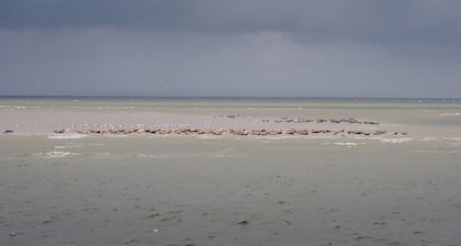 Gemütliche und charmant eingerichtete 30qm Wohnungen in zentraler Lage von Husum