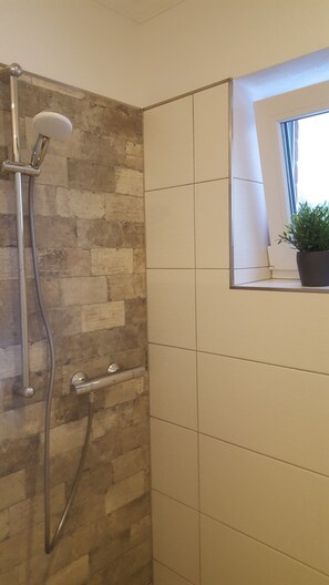 Shower, hair dryer, soap, toilet paper