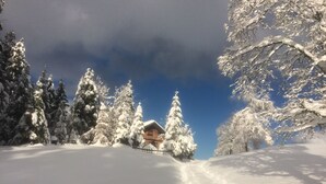 Een besneeuwd landschap met een houten hut en sneeuwbezwaarde bomen.