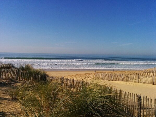 Playa en los alrededores 