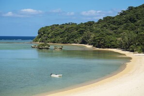 Vue sur la plage/l’océan