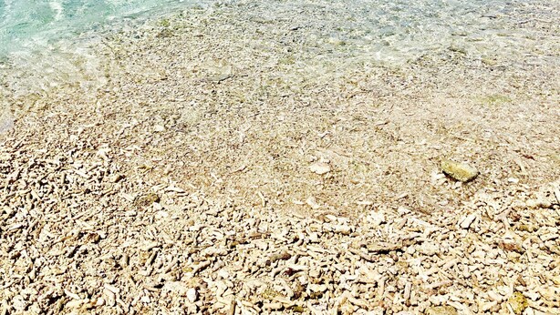 Una playa despejada con aguas poco profundas y una isla distante.