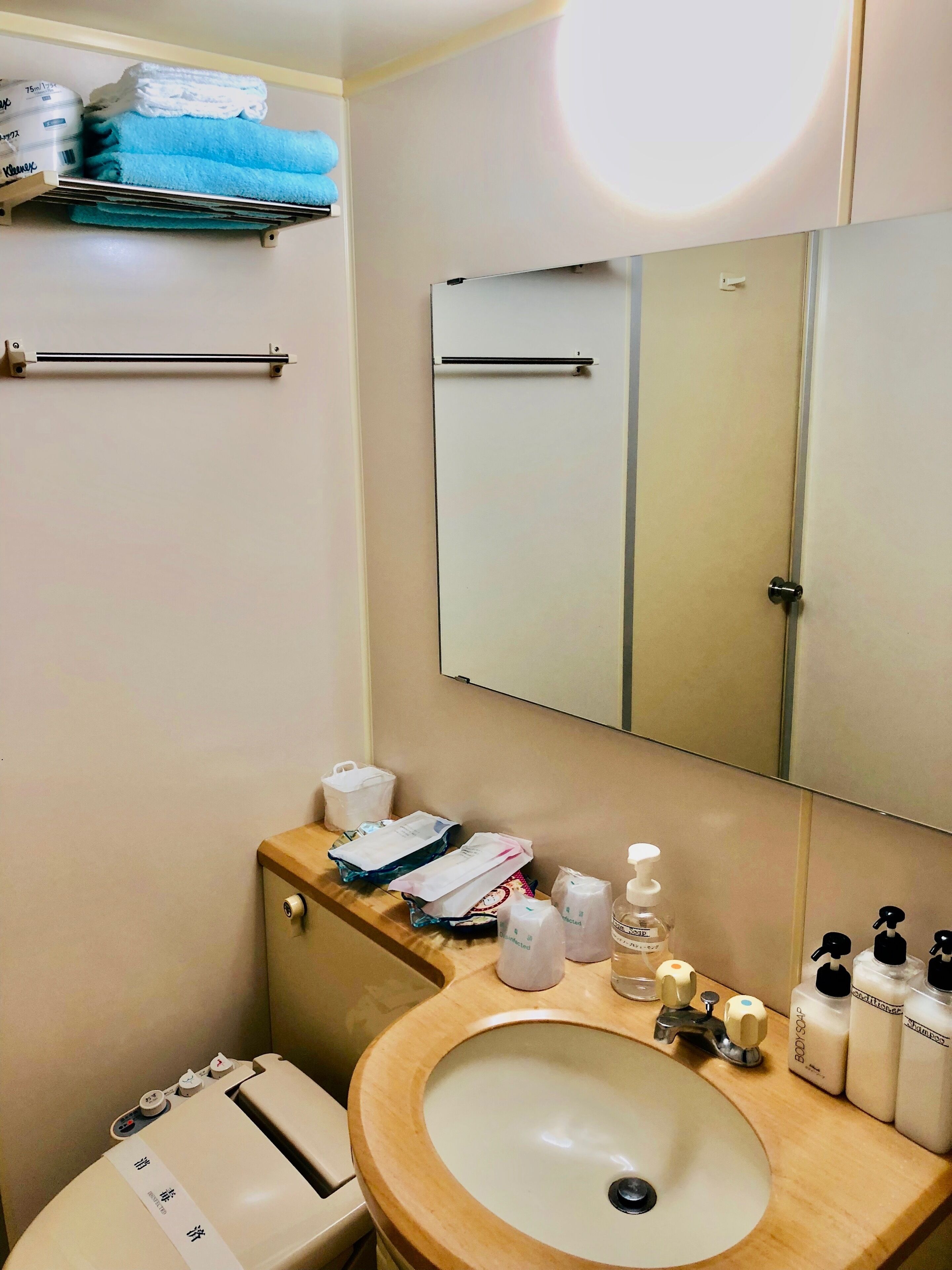 combined shower/bathtub, free toiletries, hair dryer, slippers