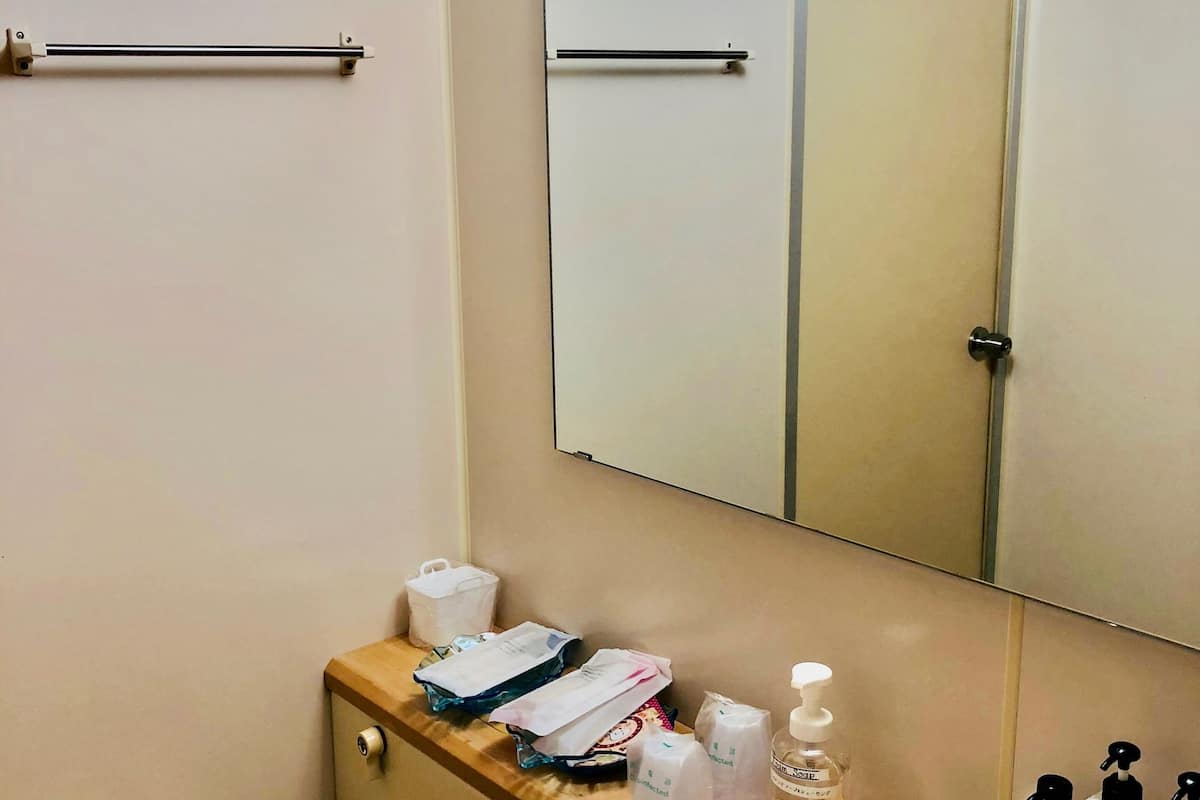 combined shower/bathtub, free toiletries, hair dryer, slippers