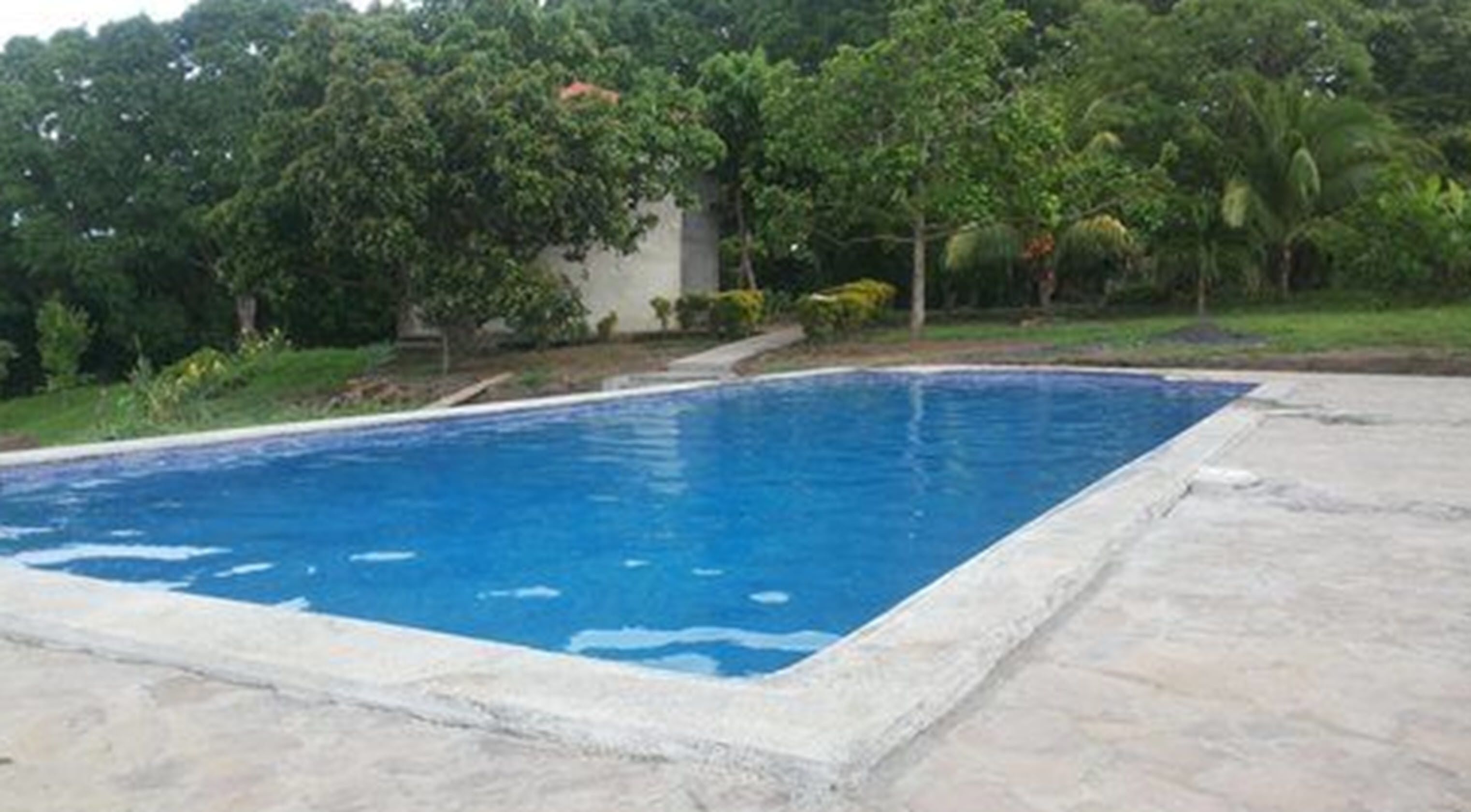 A rectangular swimming pool with a concrete edge, surrounded by a grassy area and trees.