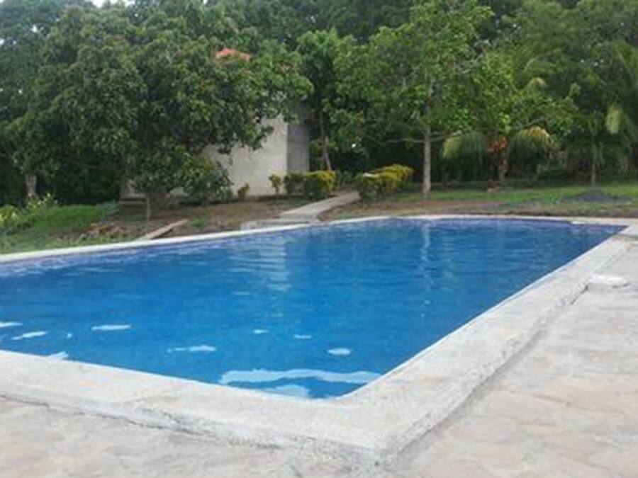 A rectangular swimming pool with a concrete edge, surrounded by a grassy area and trees.