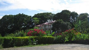 Ein gepflasterter Innenhof mit einem Gebäude im Hintergrund, umgeben von üppiger Vegetation und blühenden Pflanzen.