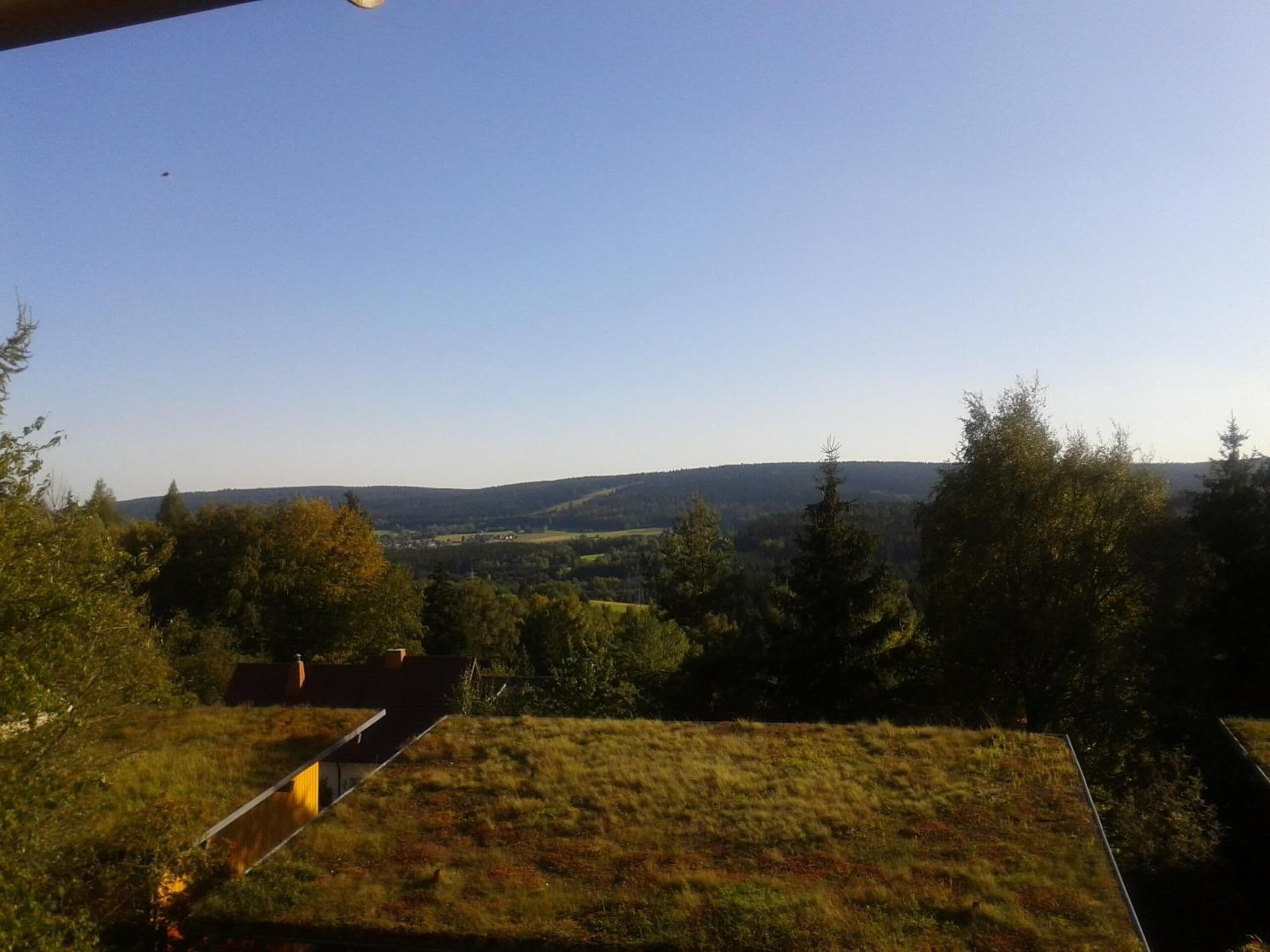 Vista desde un lugar elevado que domina un valle con una colina cubierta de hierba y árboles.