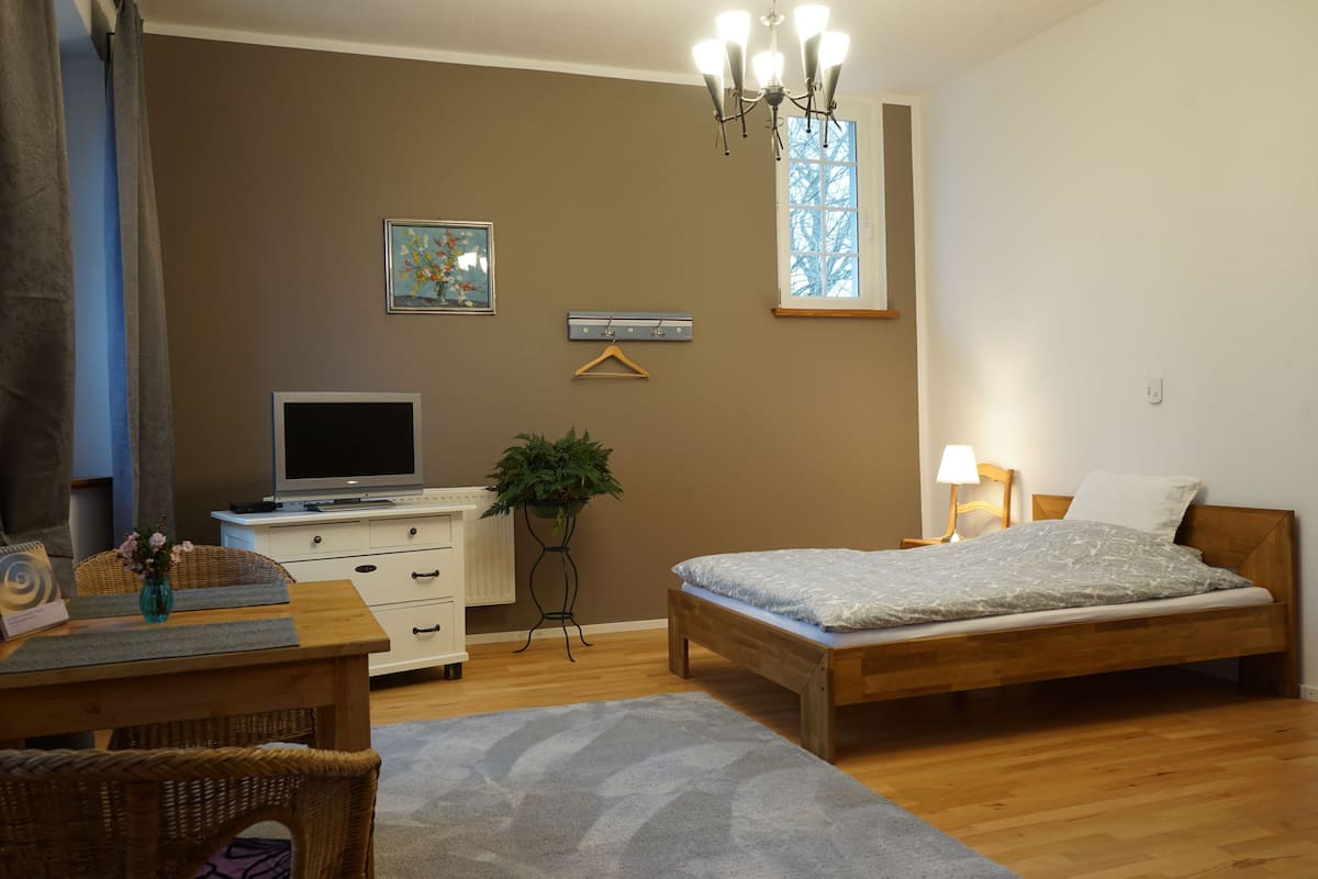 A bedroom with a wooden bed, a desk with a computer, a TV, a plant, and a window with a view.