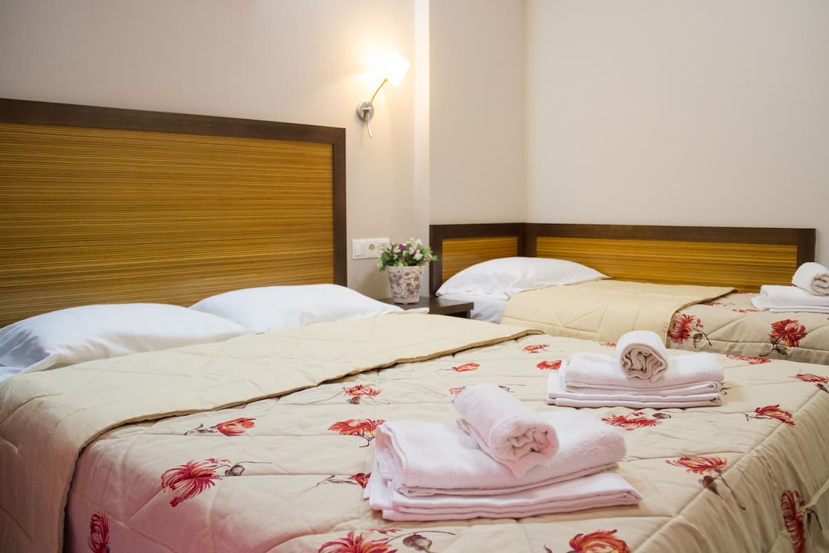 Habitación doble | Ropa de cama de alta calidad, escritorio, cortinas opacas