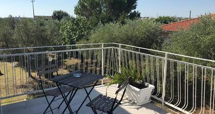 B&B Ripari di Giobbe