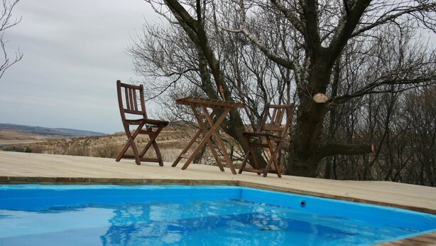 Une piscine avec des chaises longues en bois et un grand arbre en arrière-plan.