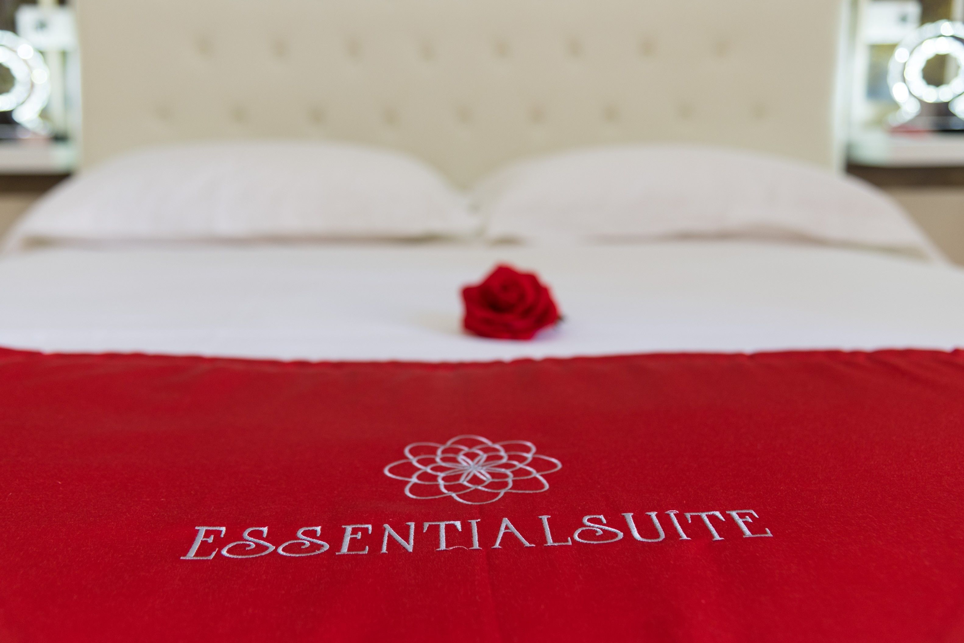 Photo - Essential Suite B&B Botanic