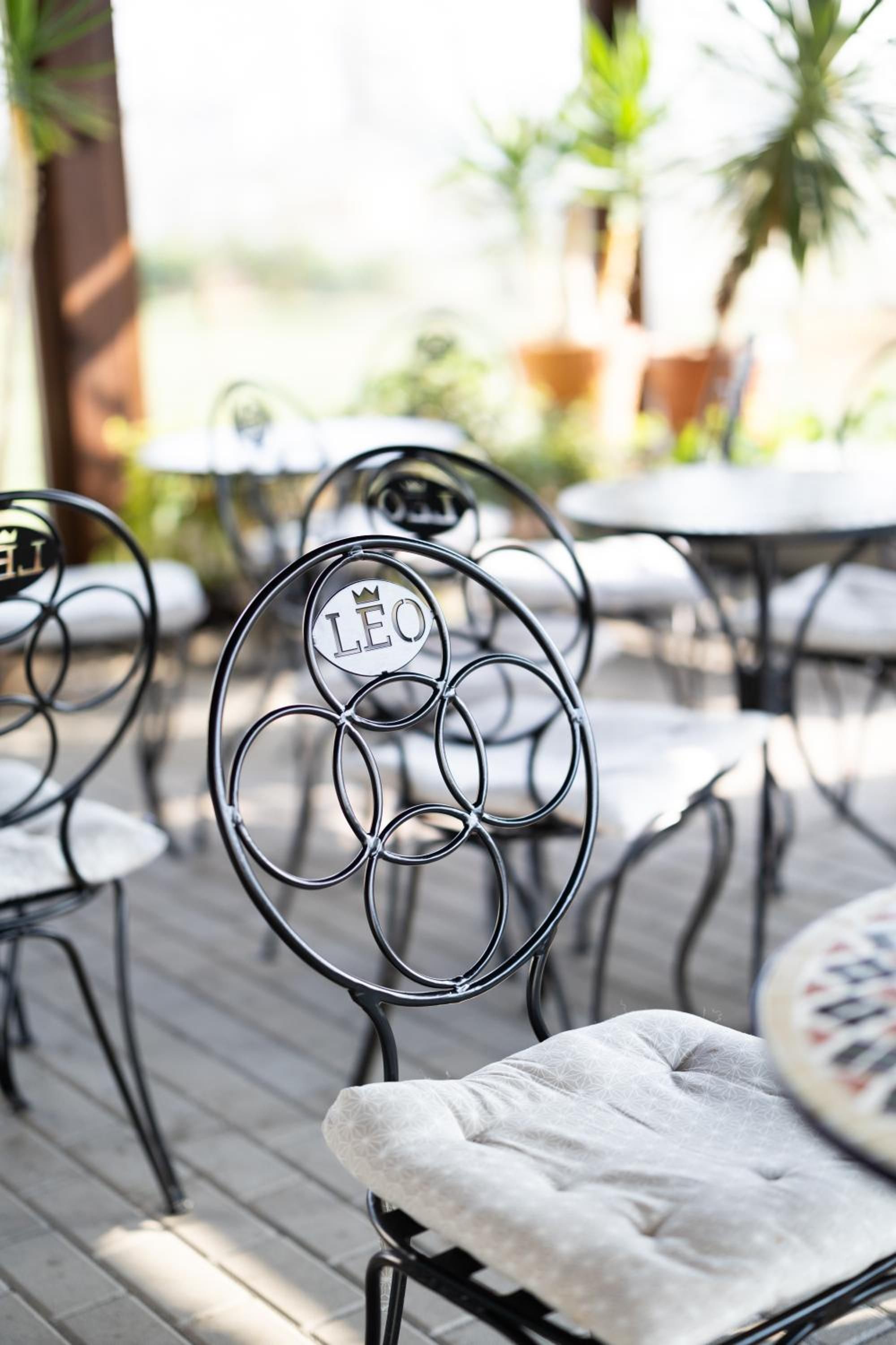A metal chair with a circular design and a cushion.