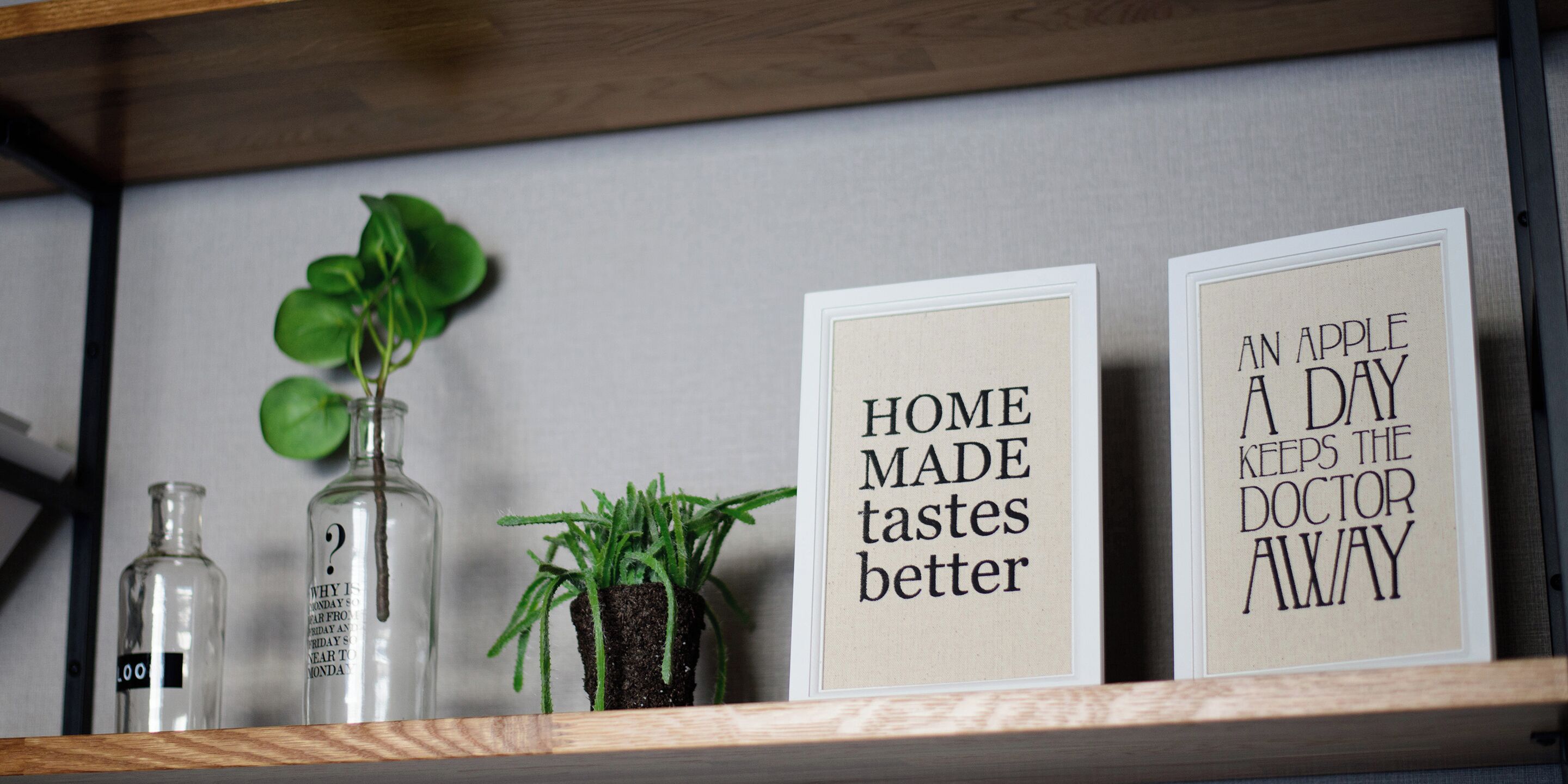 A shelf with framed signs and a potted plant.