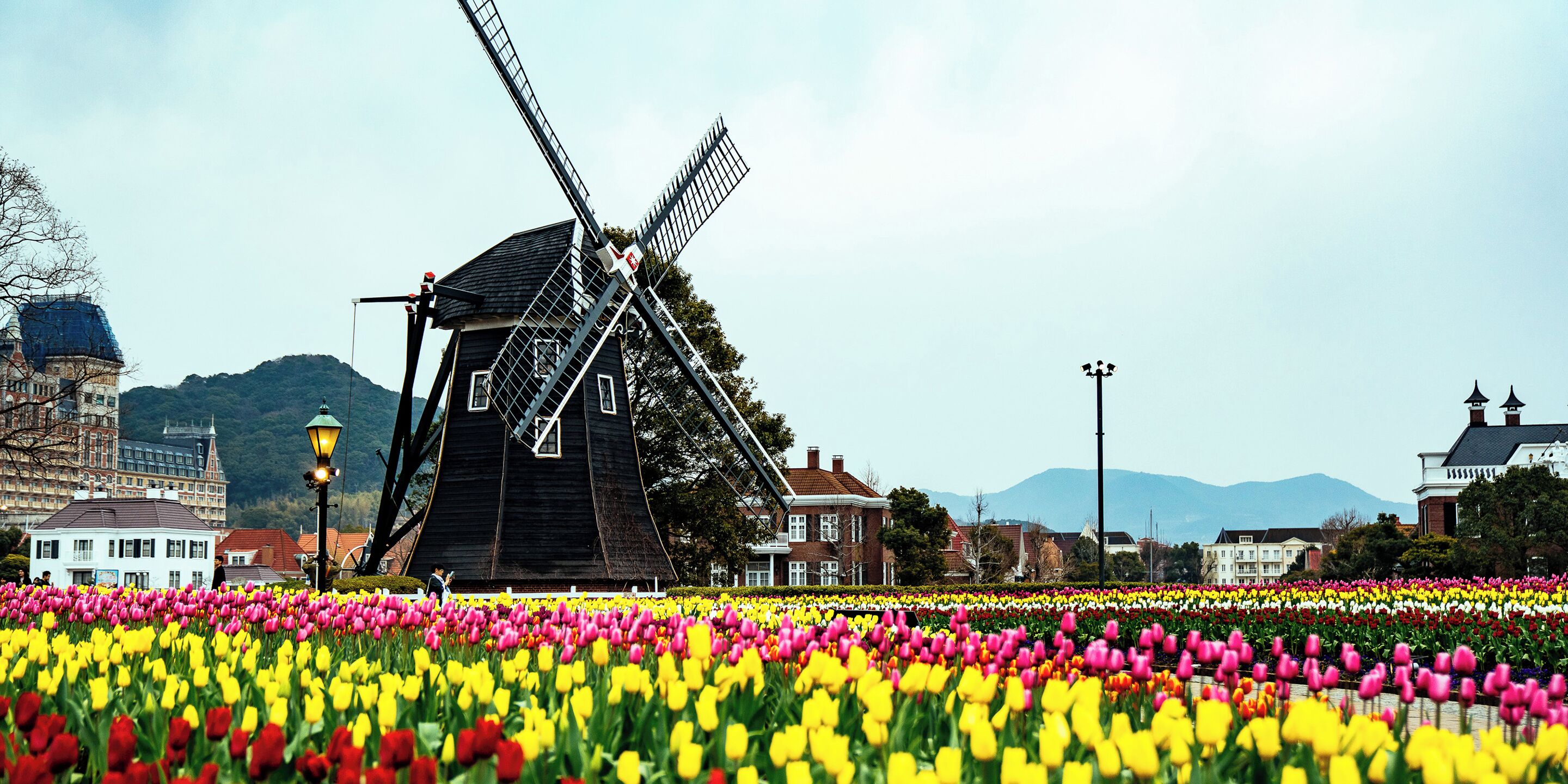A windmill in a field of colorful tulips with buildings in the background.