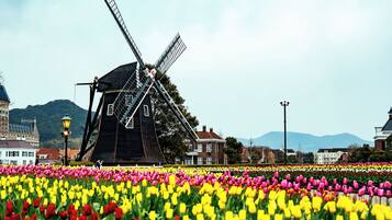 A windmill in a field of colorful tulips with buildings in the background.