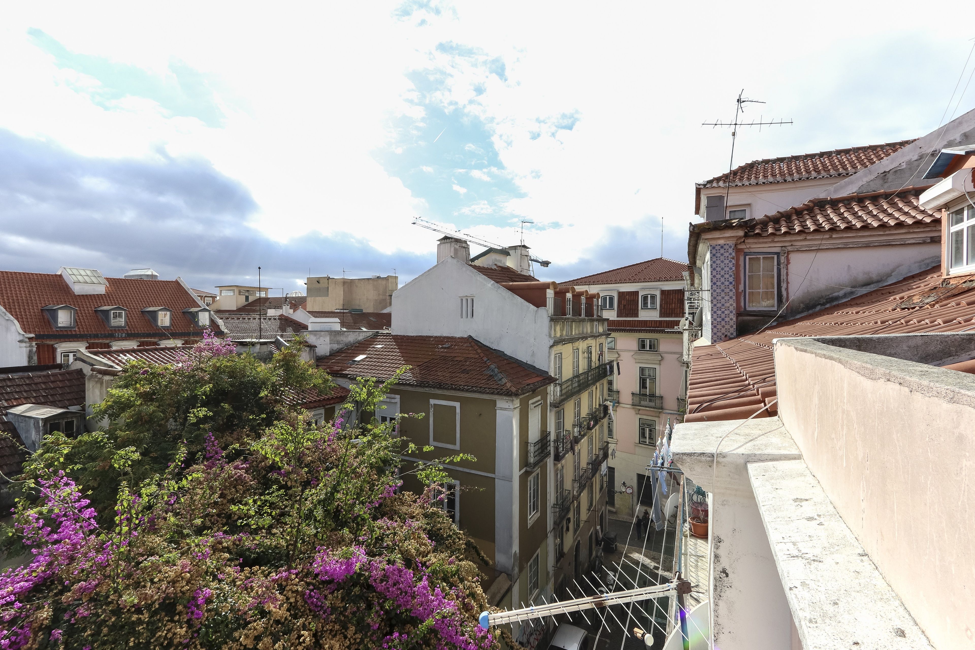 A residential area with terracotta-tiled roofs, balconies, and a tree with purple flowers.